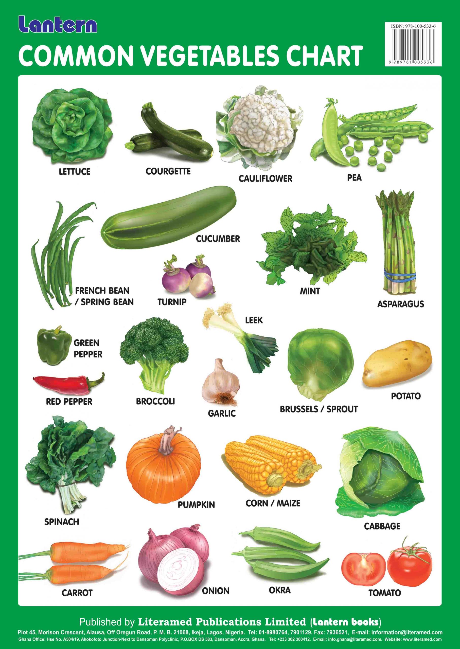 wall-chart-common-vegetables-lantern-books-977