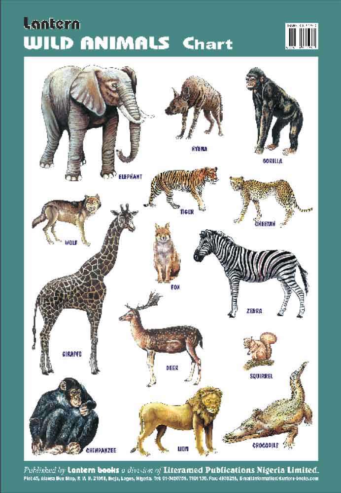 Wall Chart: Wild Animals - Lantern Books